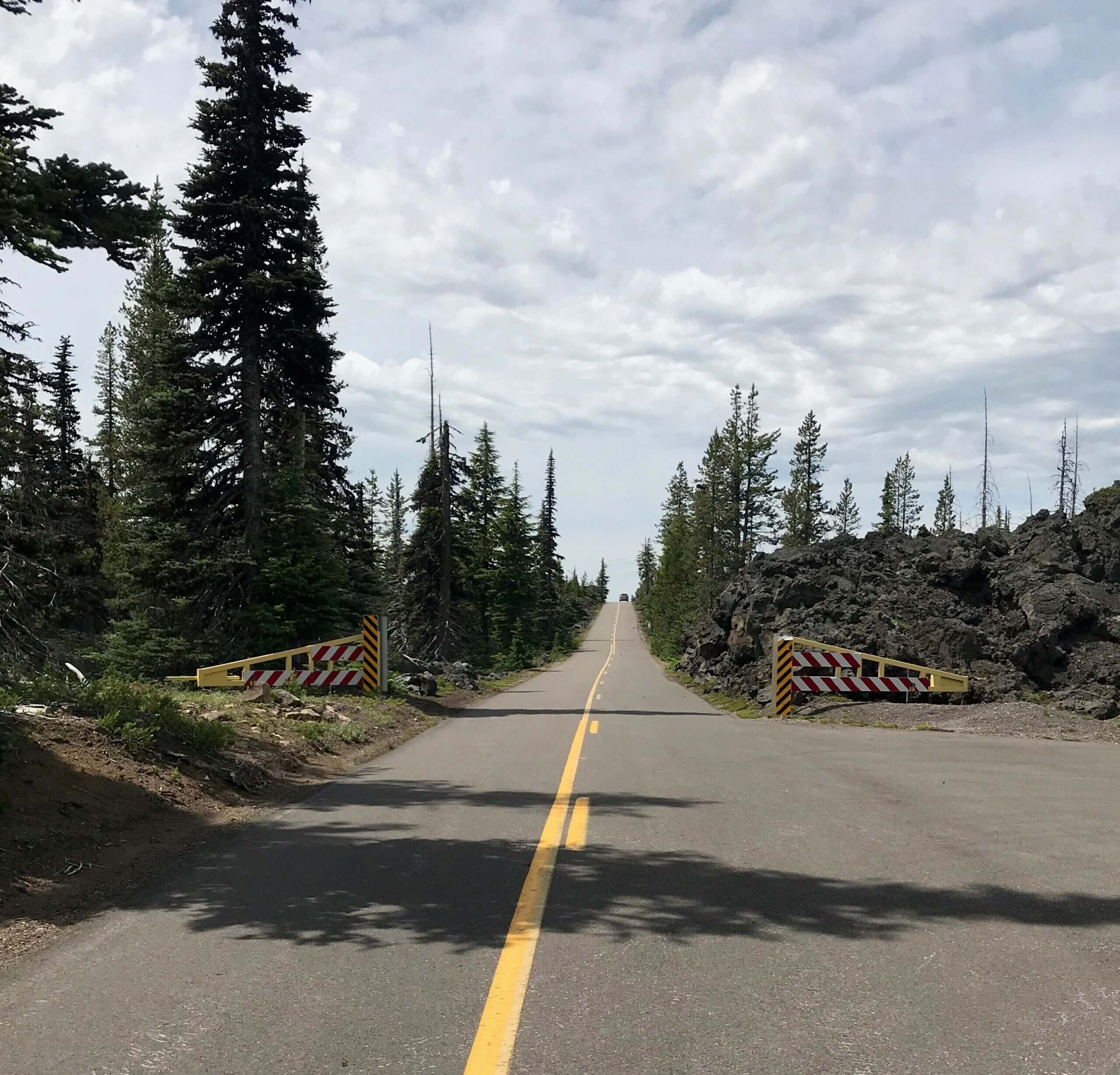 Hwy-242-scenic-drive-mckenzie-river