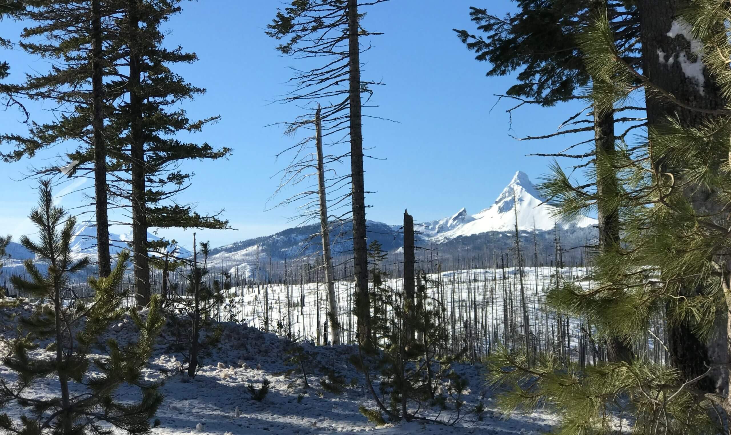 Santiam-Pass-mckenzie-river-oregon-Winter