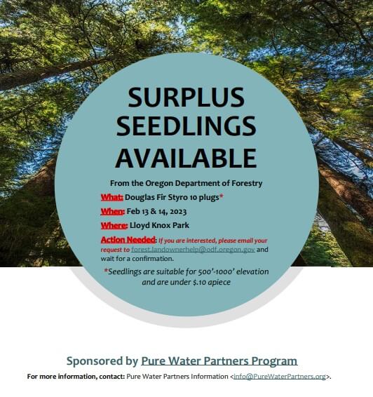 Surplus Seedlings Event